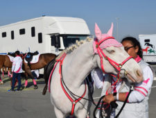 Pink caravan events 2018